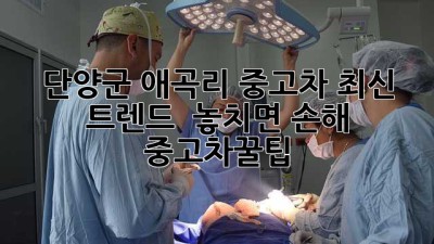 단양군 애곡리 중고차 최신 트렌드 🚗 놓치면 손해! #중고차꿀팁